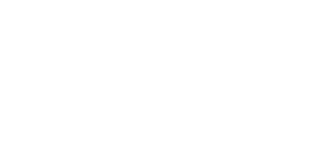 SIMEMIS